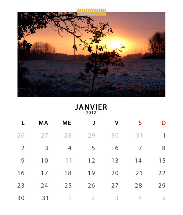 CD CASE Calendar January