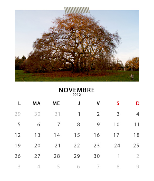 CD CASE Calendar November