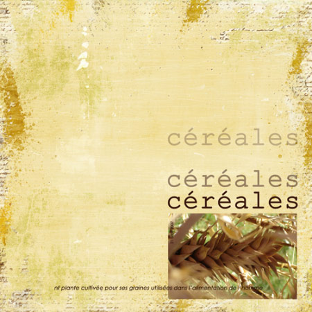 Cereales