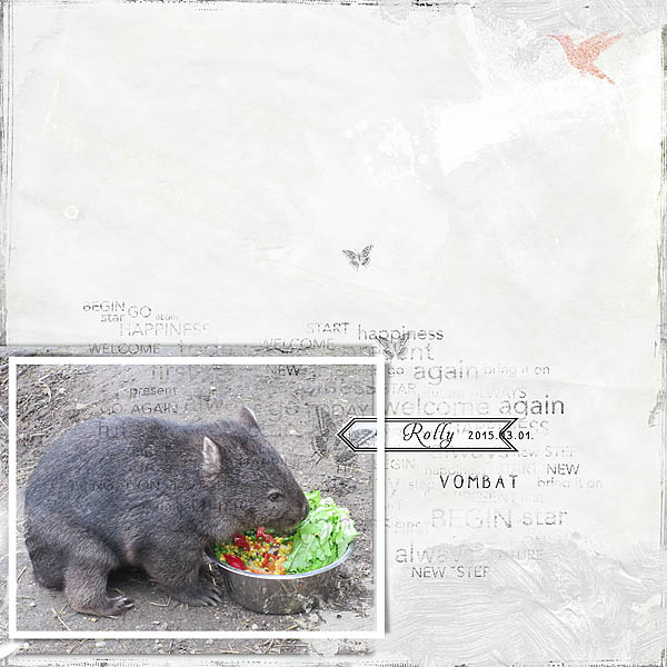 Challenge 1 - PROMPT - march 2015 - Wombat