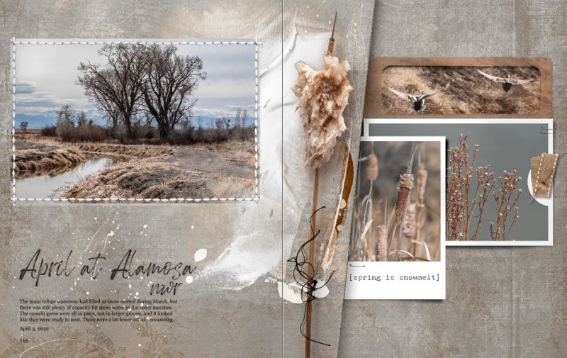 Challenge #2: April at Alamosa NWR