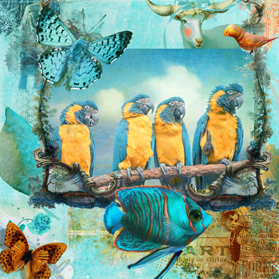 Challenge-2-Color Pallette--4 Parrots in a Row