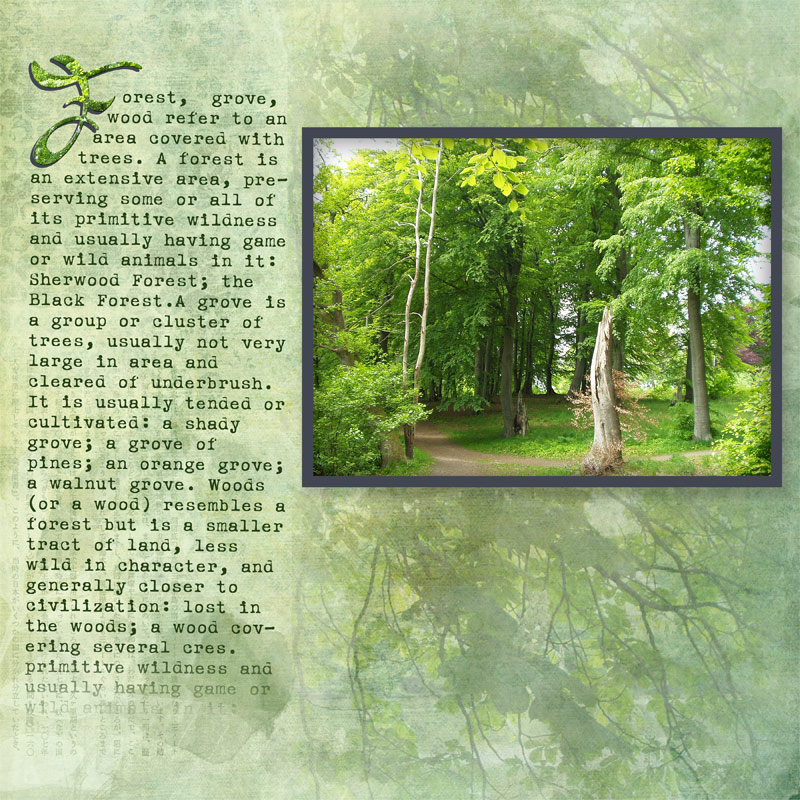 Challenge 2 - Forest