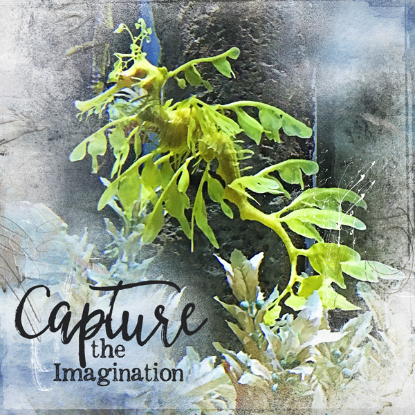 Challenge # 2 Product (Wordart) - Capture The Imagination