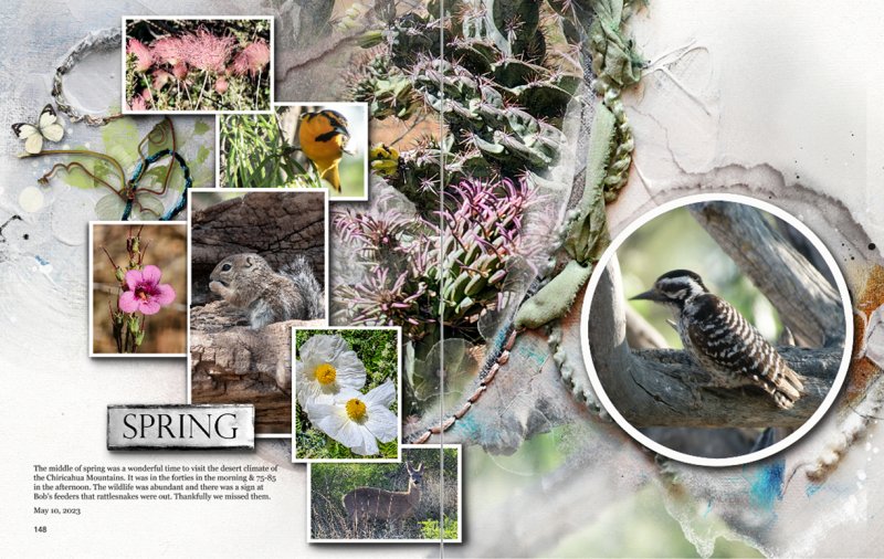 Challenge #2: Spring