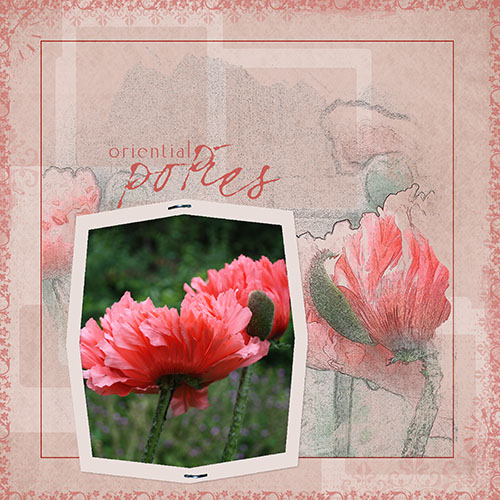 Challenge 2_Copycat_Poppies