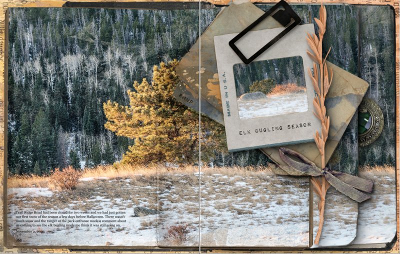 Challenge #6: RMNP Elk Bugling Season