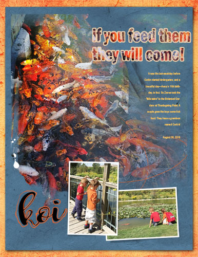 Challenge 6_Color_Koi-If You Feed Them They Will Come
