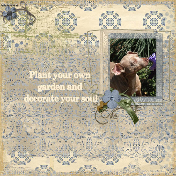 Challenge No. 1 COPYCAT (January 2015)