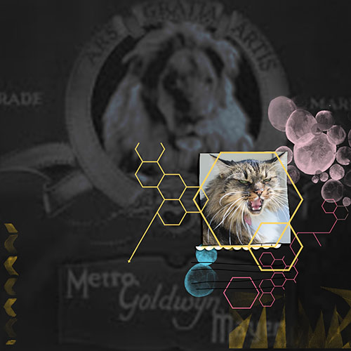 Challenge1_Copycat_Template_Metro Goldwyn Neyla