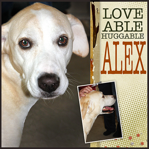 Challenge3_Webspiration_DogSnuggle_Alex