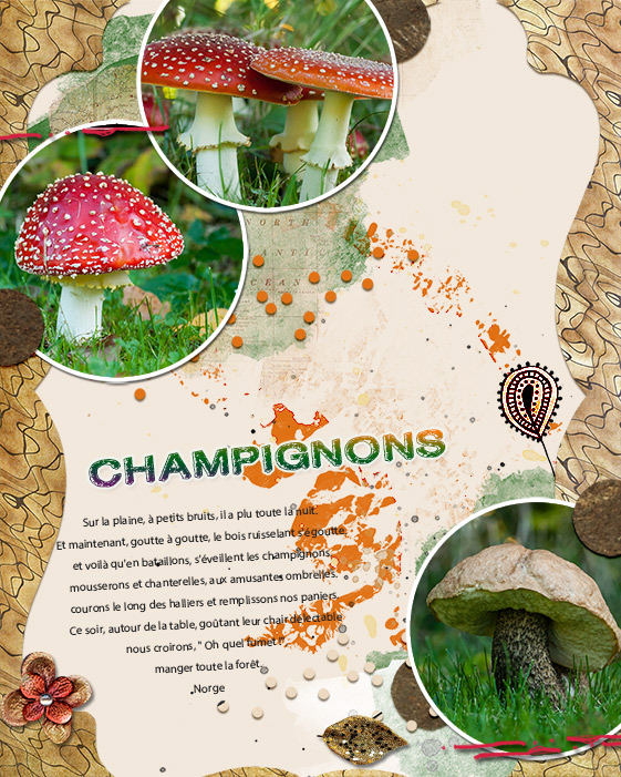 Champignons