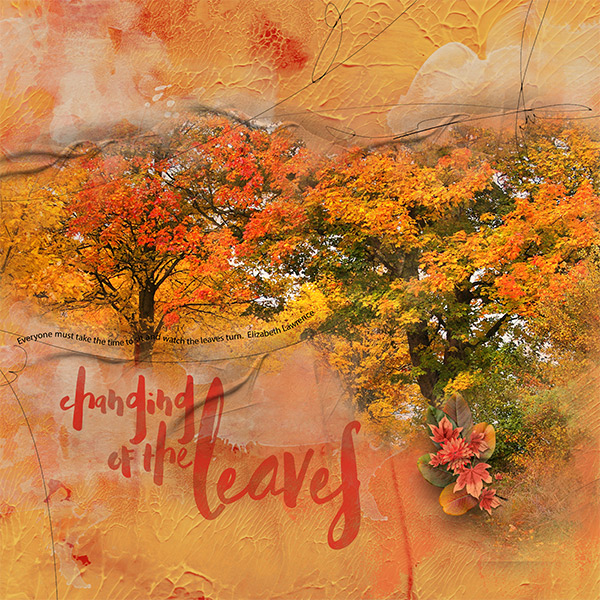 Changing of the Leaves