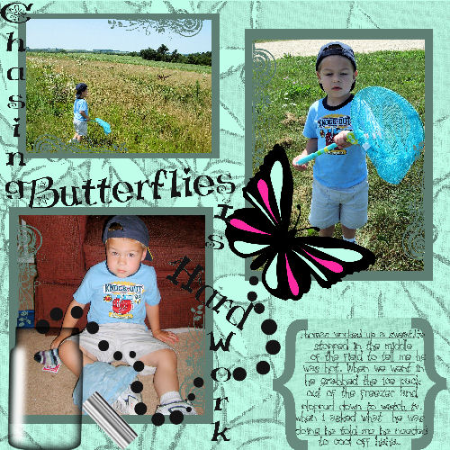chasing butterflies