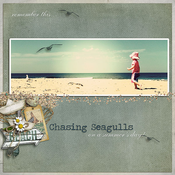 CHASING SEAGULLS
