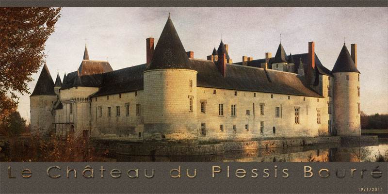 Chateau Plessis Bourr