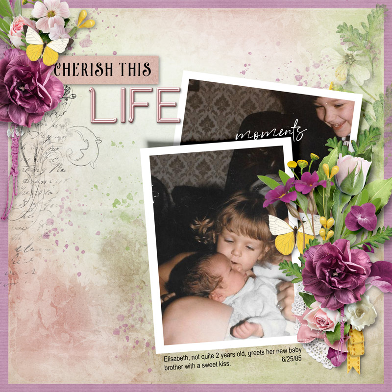 Cherish-This-Life