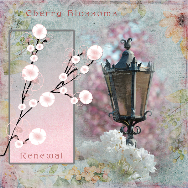 Cherry-Blossoms.jpg