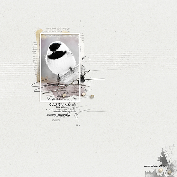 chickadee-dee-dee