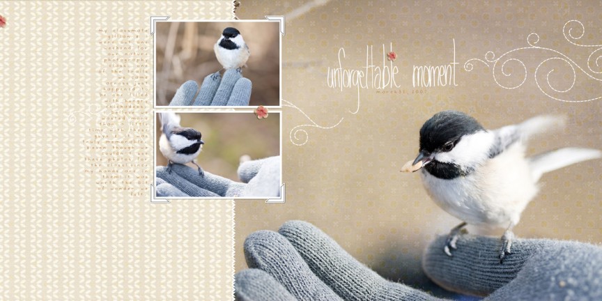 Chickadee Moment