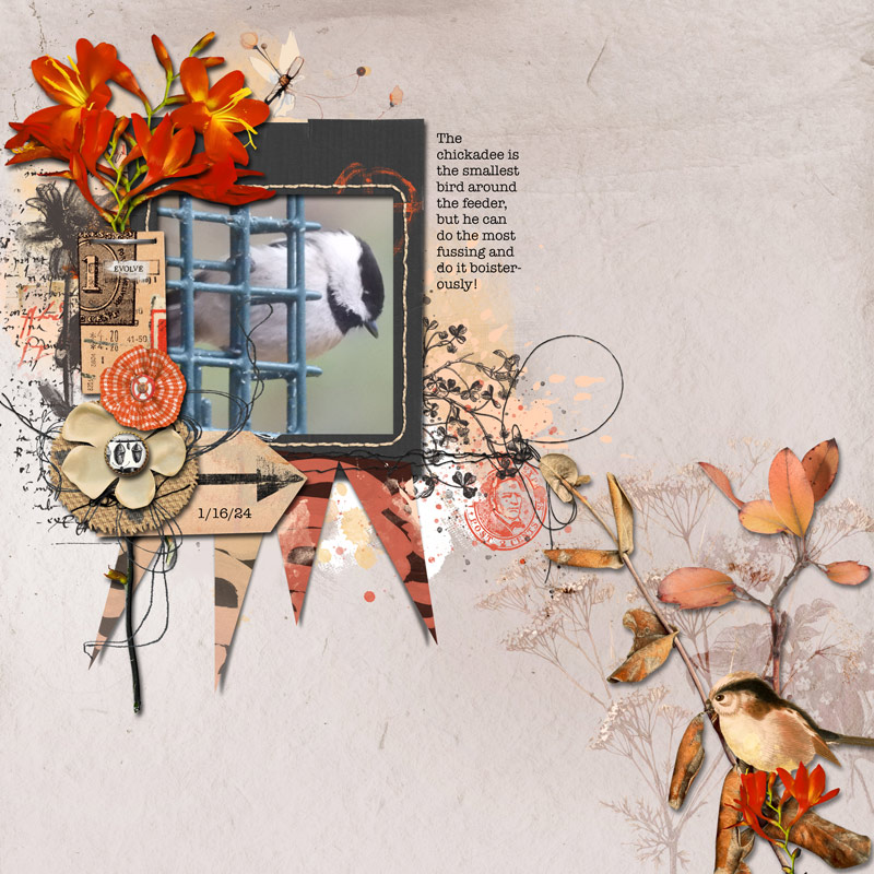 Chickadee