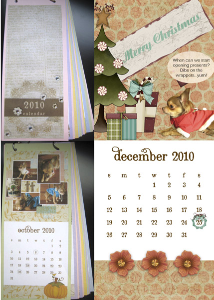 Chiqutta Calendar 2010