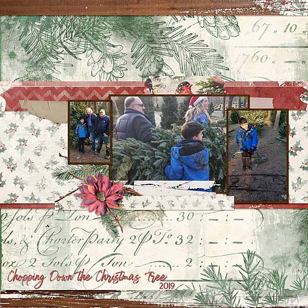 Chopping down the Christmas Tree