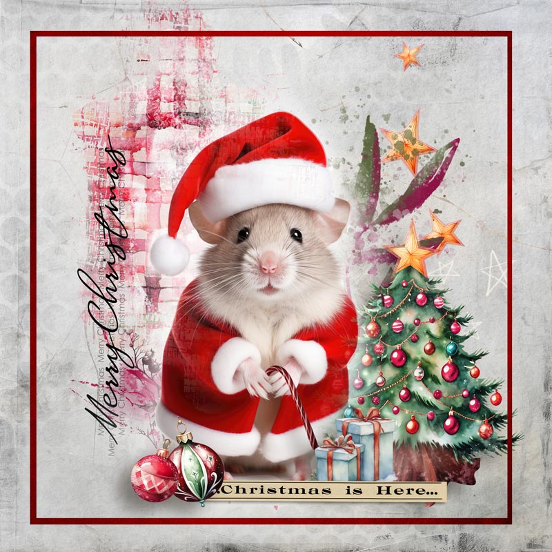 Christmas Avatar