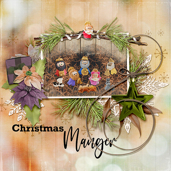 Christmas Manger