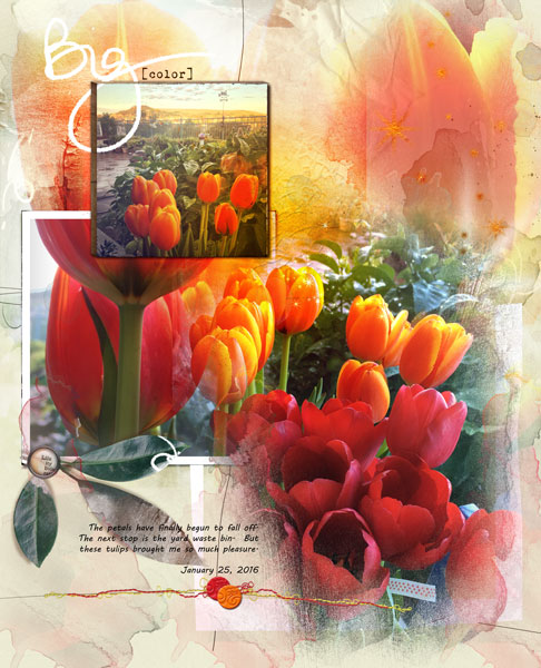 Classics Replay Tulips #2