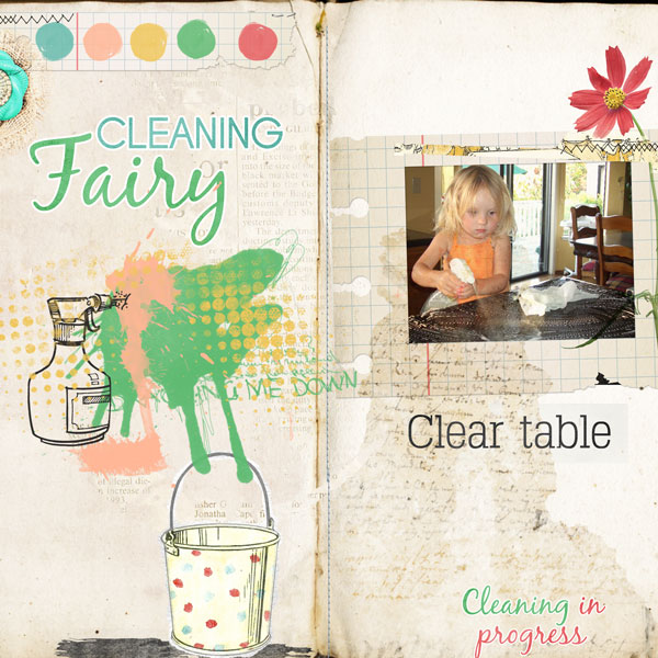 Cleaning Fairy