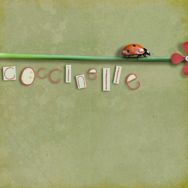 coccinelle