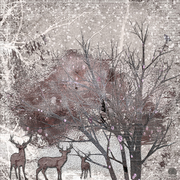 Cold Winter's Night