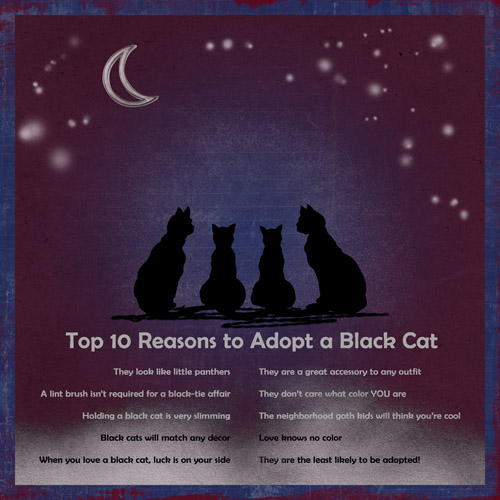 Collab Challenge_10-15_DarkOutThere_Adopt a Black Cat