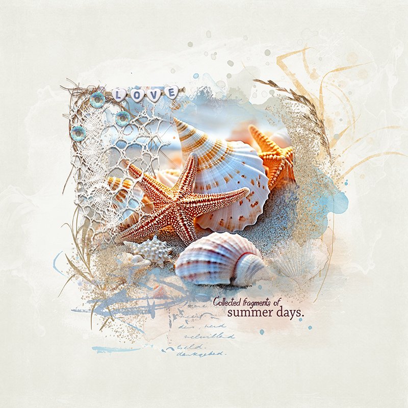 Collected fragments of summer days