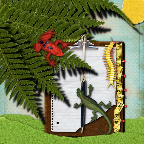 Collecting Bugs