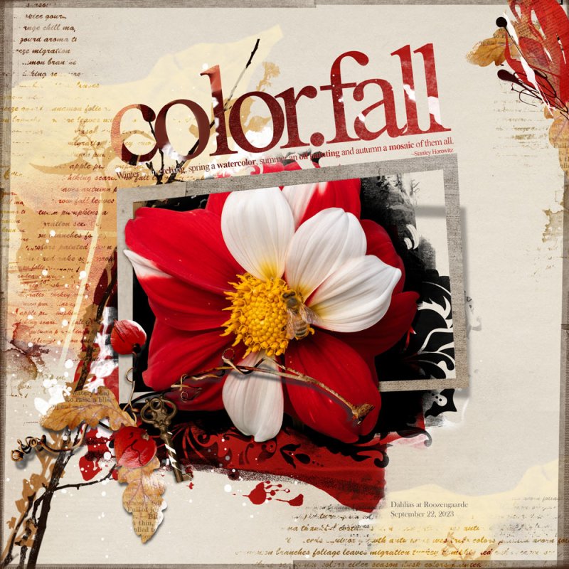 Color.Fall - AnnaLift