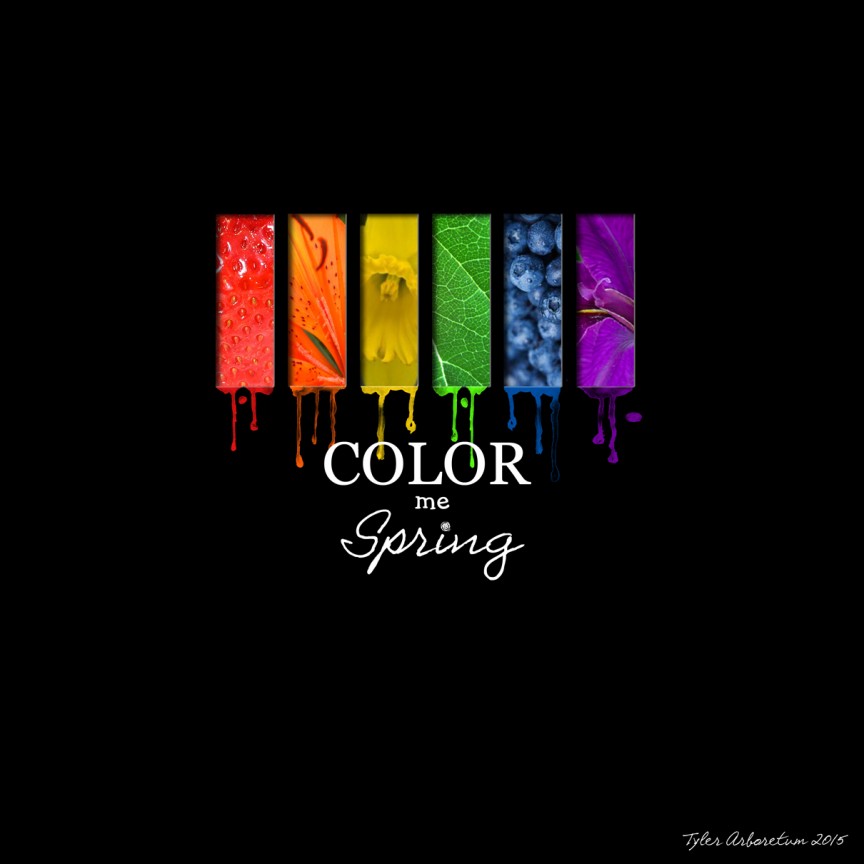 Color Me Spring