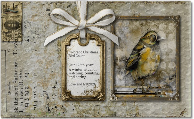 Colorado Christmas Bird Count