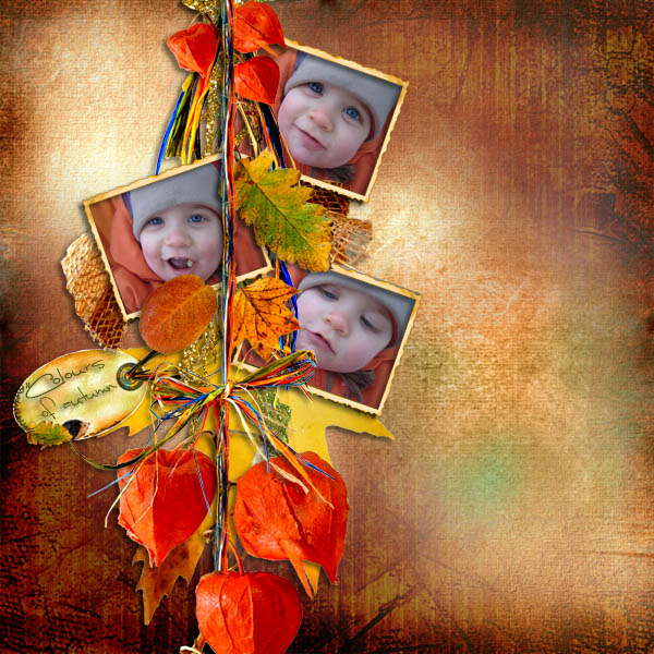 Colors of autumn