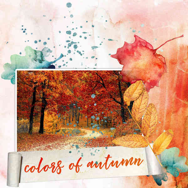 Colors of Autumn