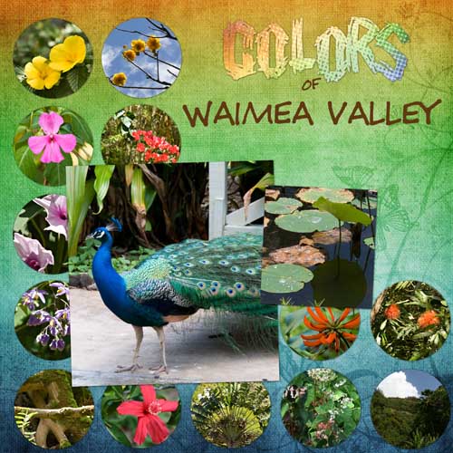 Colors of Waimea Valley