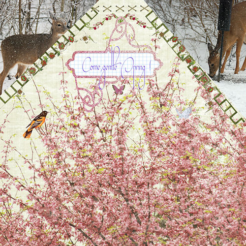 Come gentle Spring