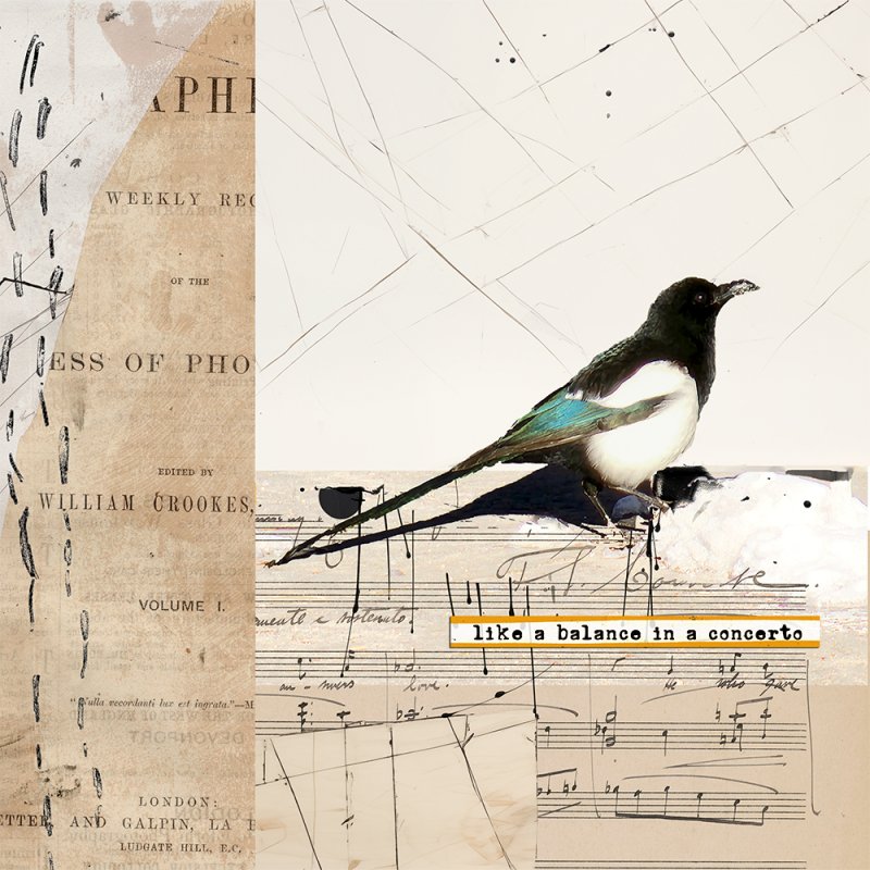 Concerto (Magpie, square version)