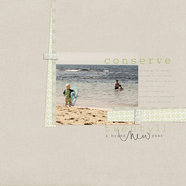 {conserve}