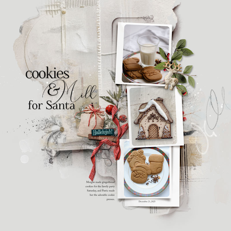 Cookies & Milk for Santa