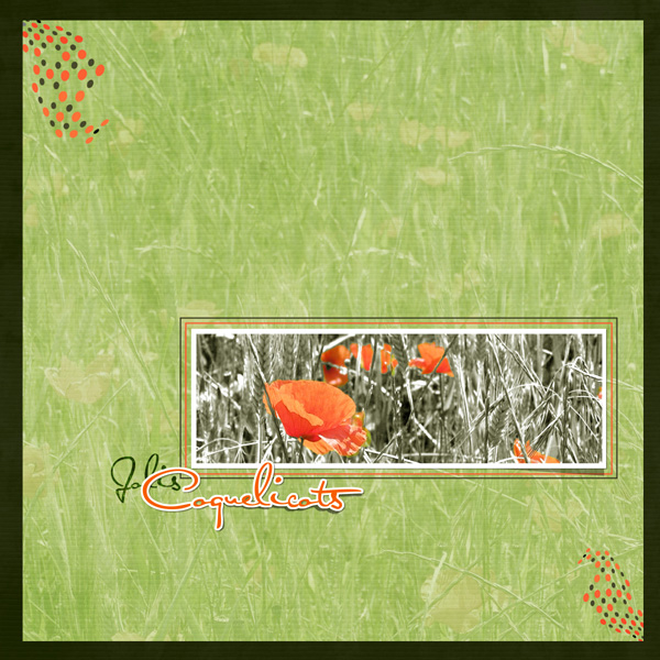 coquelicot - TM Challenge
