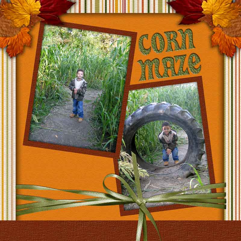 Corn Maze