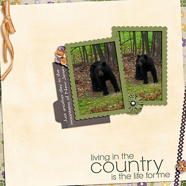 country bears