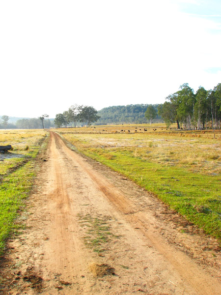 COUNTRY ROAD